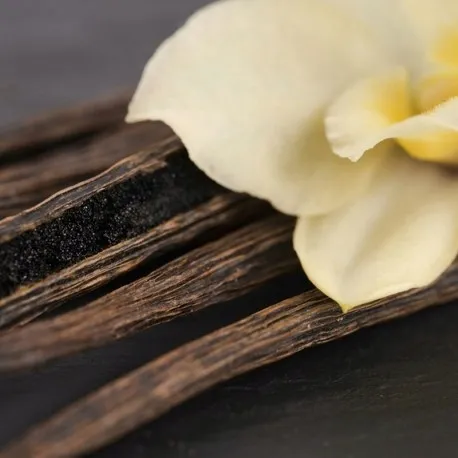 yodeyma-amira-100ml-perfumy-marka-yodeyma