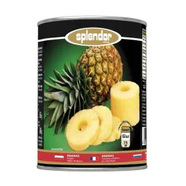 splendor-ananasy-w-plastrach-580-g