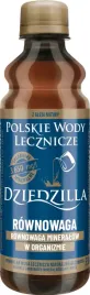 dziedzilla-polskie-wody-lecznice-330-ml