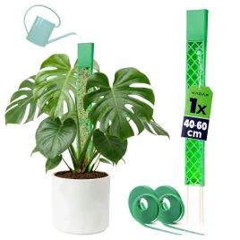1-szt-tyczka-palik-do-roslin-na-mech-40cm-modulowa-podpora-monstery-polkole