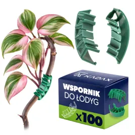 100-szt-luki-do-gron-pomidorow-lodyg-rosin-luczki-klipsy-podpora-zapinki