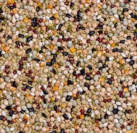 27-deli-nature-do-gotowania-i-namaczania-1-kg