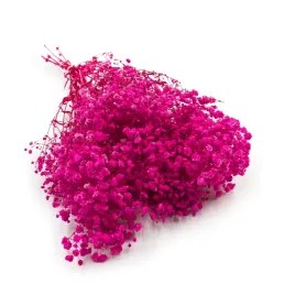 gipsowka-stabilizowana-gypsophila-royal-bouquet-fuksja