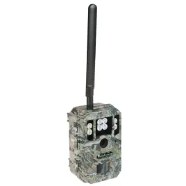 fotopulapka-hc-bg662-m-boly