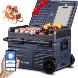 lodowka-aaobosi-samochodowa-podwojna-strefa-wifi-app-20c