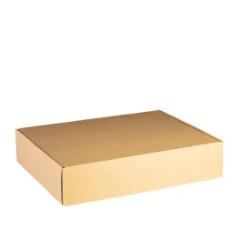 karton-kartony-pudlo-pudelko-paczkomat-gabaryt-b-c-kurier-480x355x105-10szt