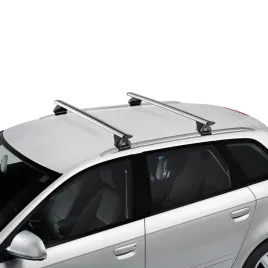bagazniki-dachowy-belki-na-relingi-cruz-airo-citroen-c4-grand-picasso-ii-2