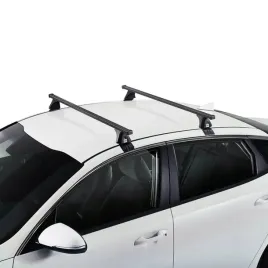 bagaznik-dachowy-bazowy-belki-cruz-oplus-ford-capri-ev-2024-