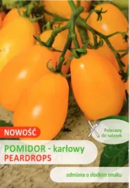 pomidory-peardrops-nasiona-03-g-legutko-229