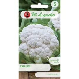 kalafior-bola-de-nieve-x-nasiona-05-g-legutko-89