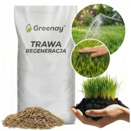 nasiona-trawa-regeneracyjna-odbudowa-trawnika-regeneracja-zageszczajaca-5kg