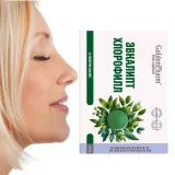 do-ssania-eukaliptus-chlorofil-chlorofilipt-24-tabletek-marka-golden-farm