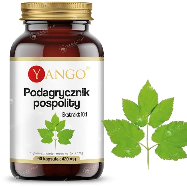 yango-podagrycznik-pospolity-90-kapsulek-podstawowy-skladnik-aminokwasy