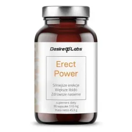 erect-power-wsparcie-witalnosci-mezczyzn-or-90-kapsulek