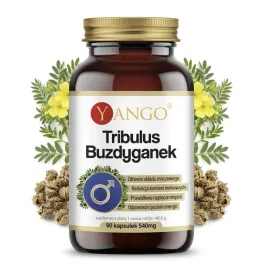 libido-erekcja-testosteron-regeneracja-tribulus-buzdyganek-90k