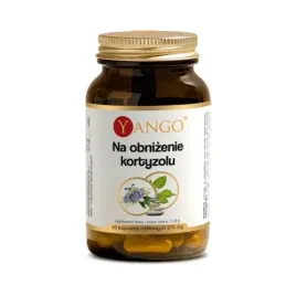 stres-spokoj-zmeczenie-magnez-kortyzol-90kaps