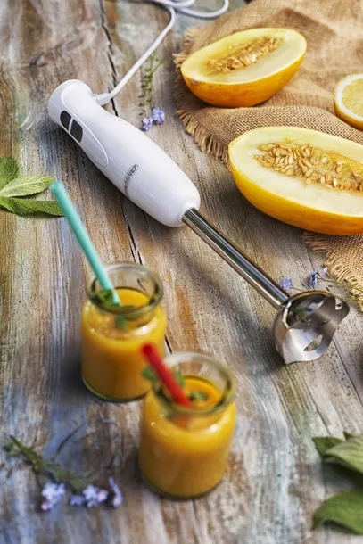 ms-4619-blender-reczny-model-ms4619