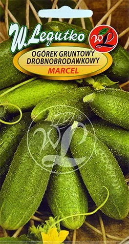 ogorek-marcel-nasiona-5-g-128-stan-opakowania-oryginalne