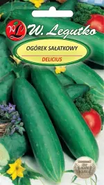 ogorek-delicius-5g-salatkowy-125