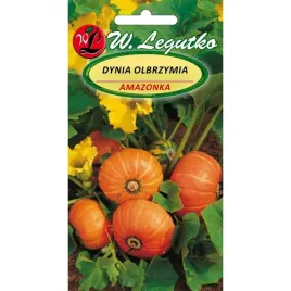 dynia-amazonka-nasiona-3-g-legutko-82