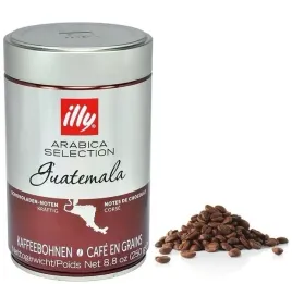 kawa-ziarnista-illy-monoarabica-guatemala-250g