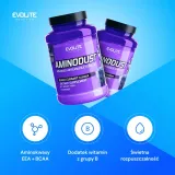 evolite-aminodust-1185-g