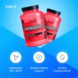 evolite-aminodust-1185-g