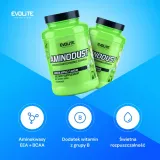 evolite-aminodust-1185-g