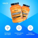 evolite-aminodust-1185-g