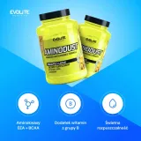 evolite-aminodust-1185-g