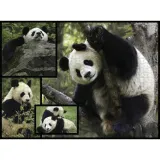 ambassador-pandas-1000-pieces