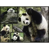 ambassador-pandas-1000-pieces