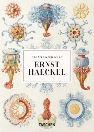 the-art-and-science-of-ernst-haeckel-40th-ed-wer-angielska-julia-voss