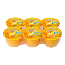 pudding-mango-dessert-pudding-and-mango-dices-cocon-708-g