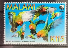 znaczki-fauna-ptaki-papugi-malawi-czysty-r4