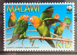 znaczki-fauna-ptaki-papugi-malawi-czysty-r4