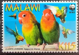 znaczki-fauna-ptaki-papugi-malawi-czysty-r4