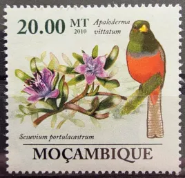 znaczki-fauna-ptaki-teogon-mozambik-czysty-r4