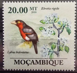 znaczki-fauna-ptaki-tukan-mozambik-czysty-r4