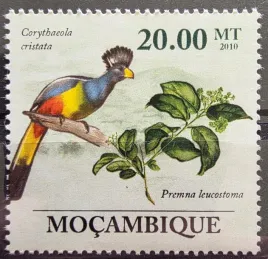znaczki-fauna-ptaki-turak-mozambik-czysty-r4