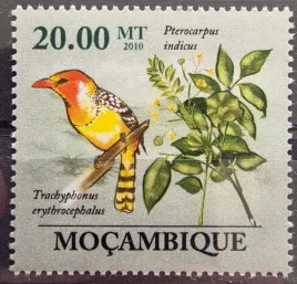 znaczki-fauna-ptaki-brodal-mozambik-czysty-r4