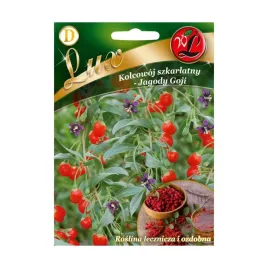 kolcowoj-szkarlatny-jagody-goji-nasiona-tradycyj-01g-legutko-73