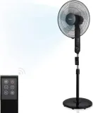 brandson-wdp-305058