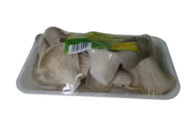 boczniak-polska-250g