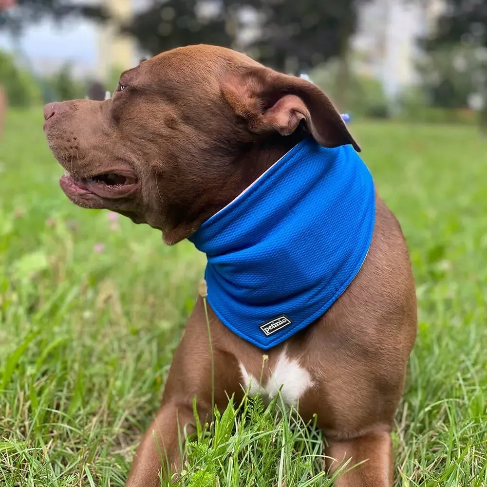 bandana-chlodzaca-dla-psa-malego-chusta-becool-s-stan-nowy
