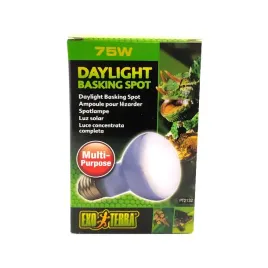 zarowka-grzewcza-daylight-basking-spot-75w
