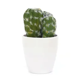 sztuczne-kwiaty-doniczka-kaktus-15cm-rozne-wzory