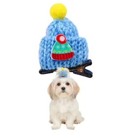 spinka-dla-psa-swiateczna-spinka-do-wlosow-czapka-mumu-niebieski