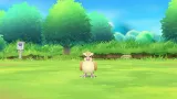 pokemon-let-s-go-eevee-nsw-wersja-gry-pudelkowa