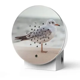 relaxound-domek-dzwiekowy-z-odglosami-oceanu-oceanbox-baltic-seagull-limite